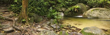 Wurrmbu Creek - Mossman Gorge - QLD H (PBH4 00 17008)